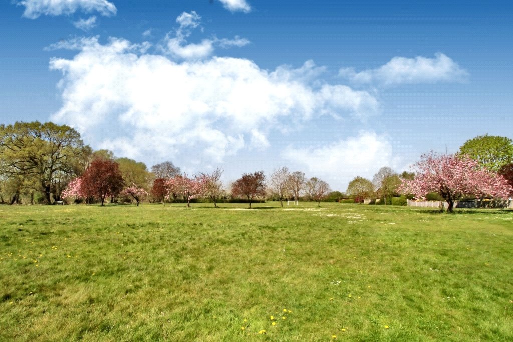 Communal Grounds